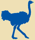 ostrich